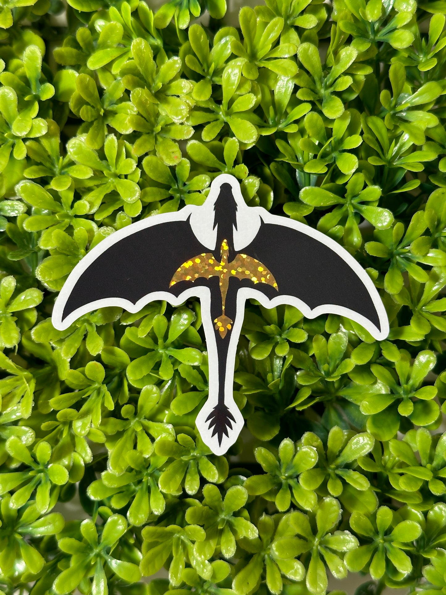 Fourth Wing Bundle