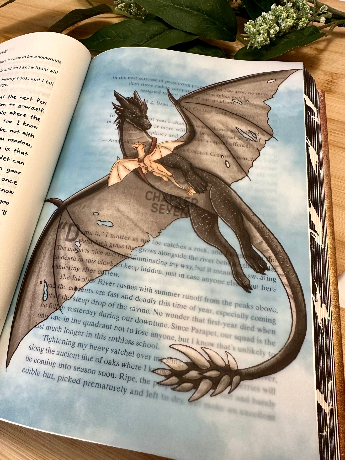 Fourth Wing Page Overlay