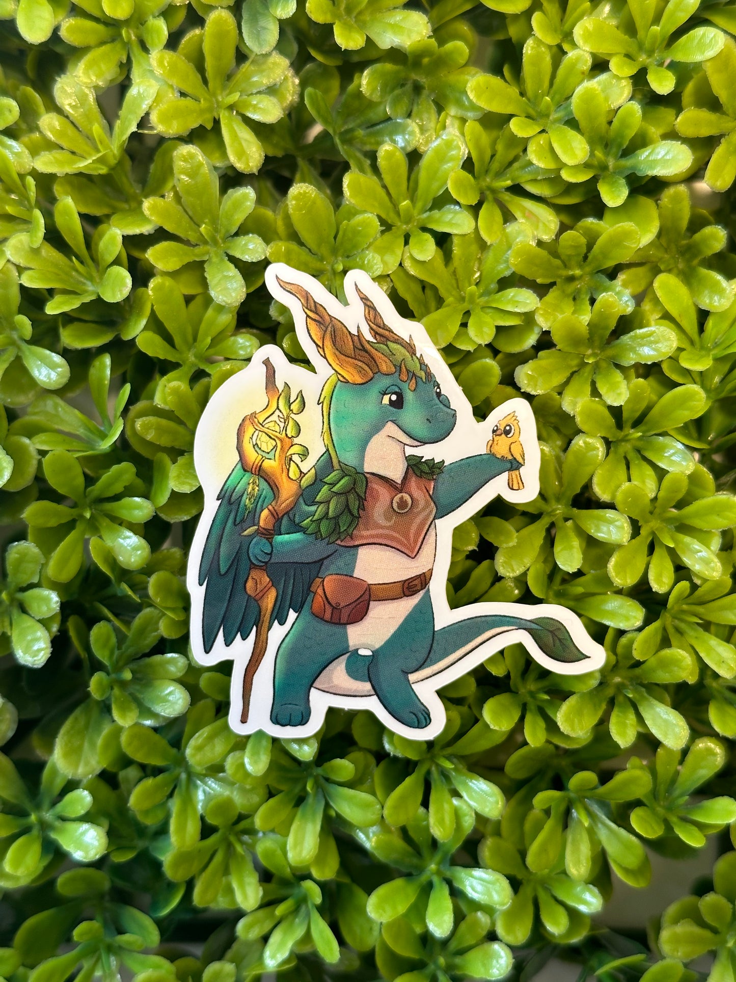 Dragon Druid