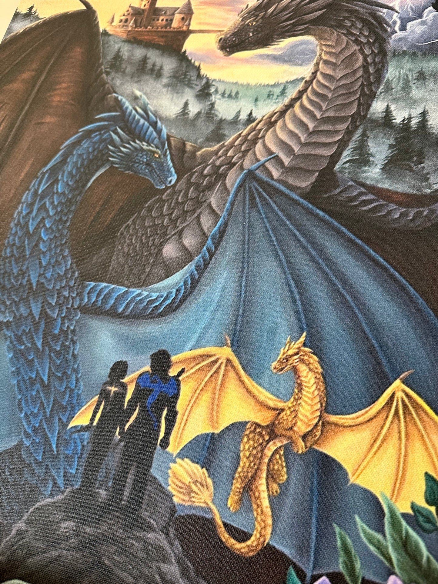 Fourth Wing Canvas Print