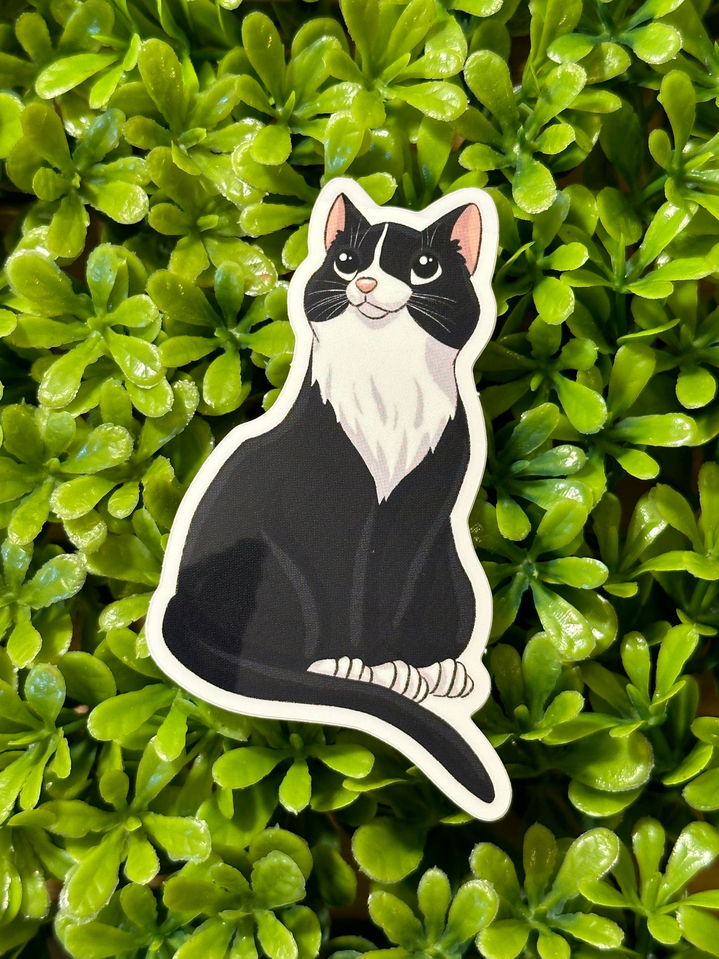Tabby Cat Sticker