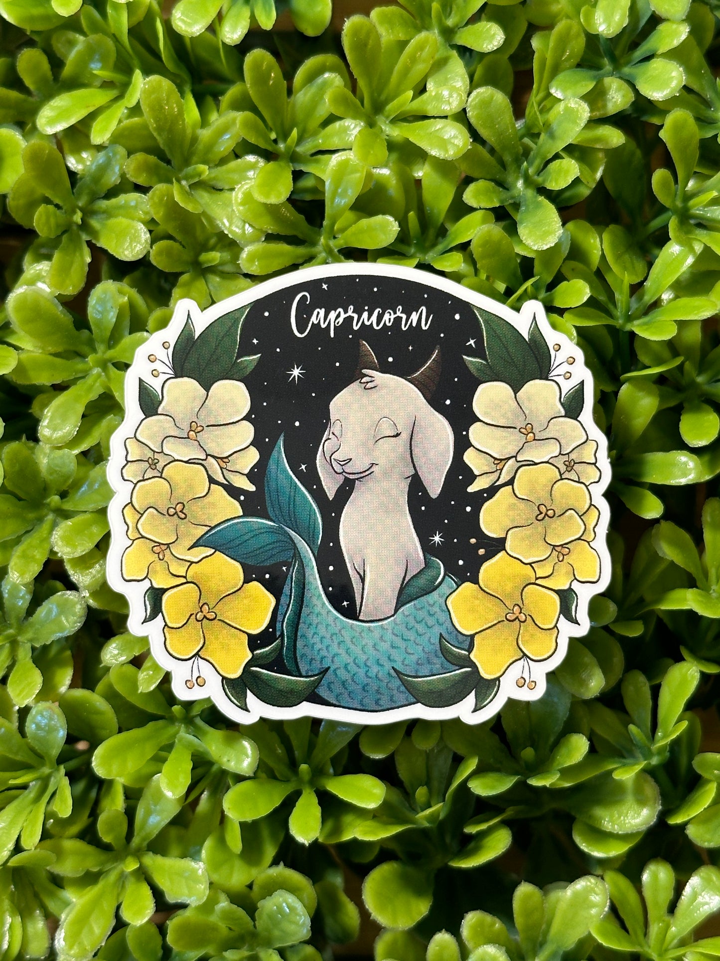 Capricorn Sticker