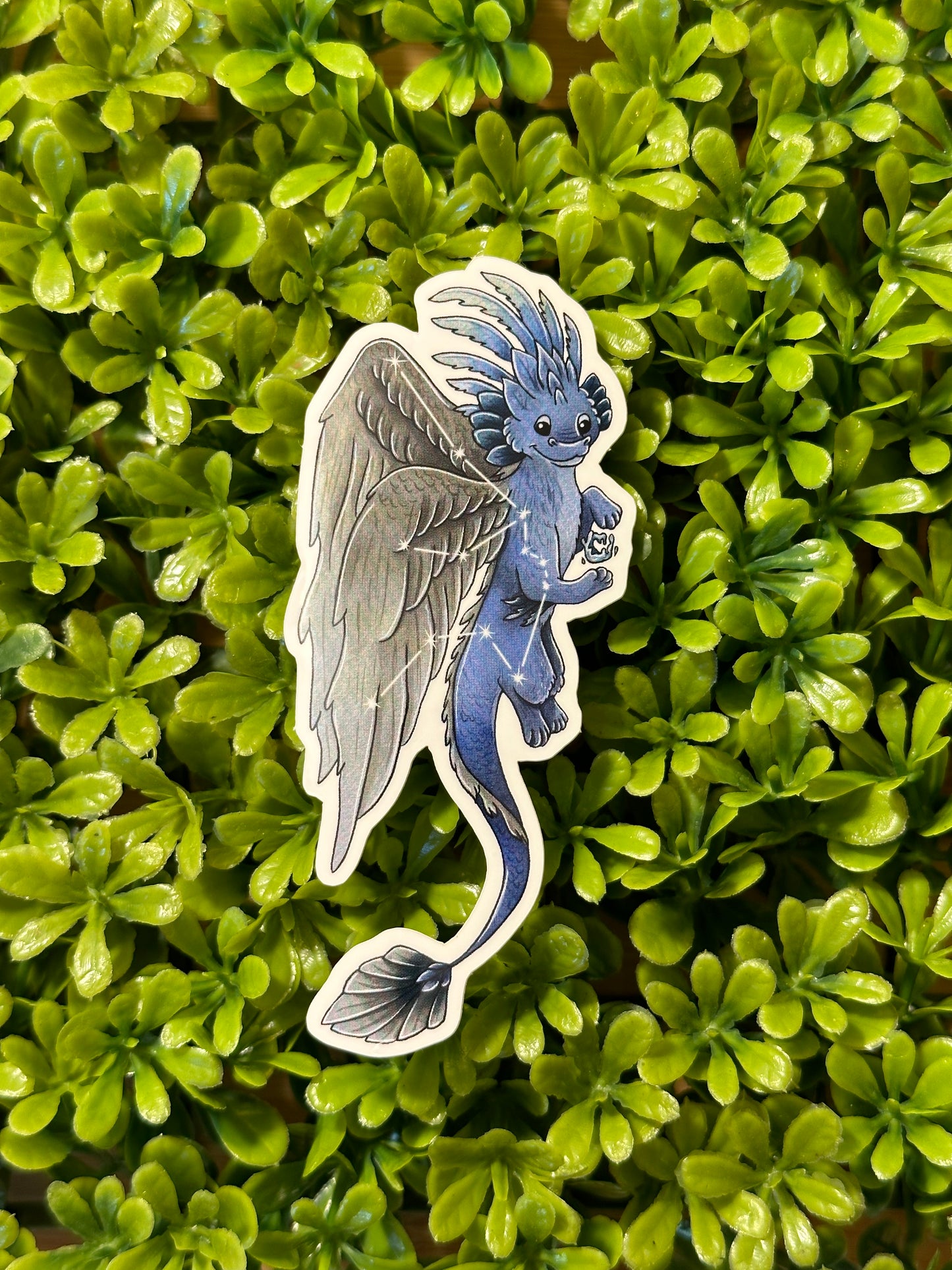 Zodiac Dragon Sticker: Aquarius