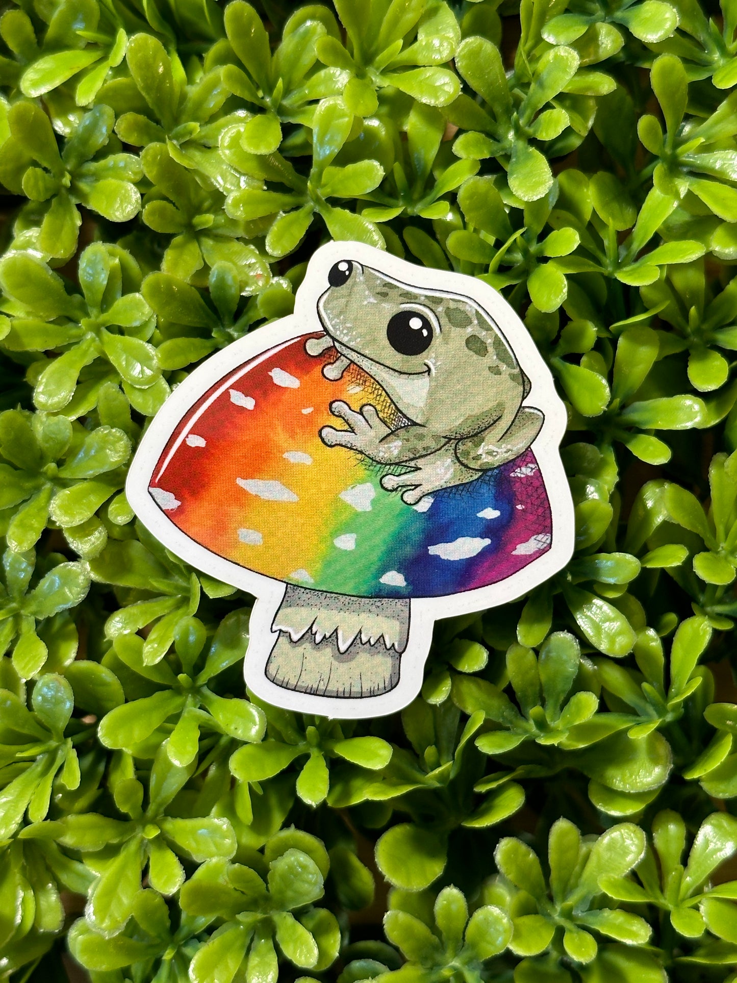 Rainbow Frog Sticker
