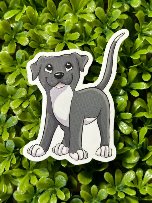 Pitbull Sticker