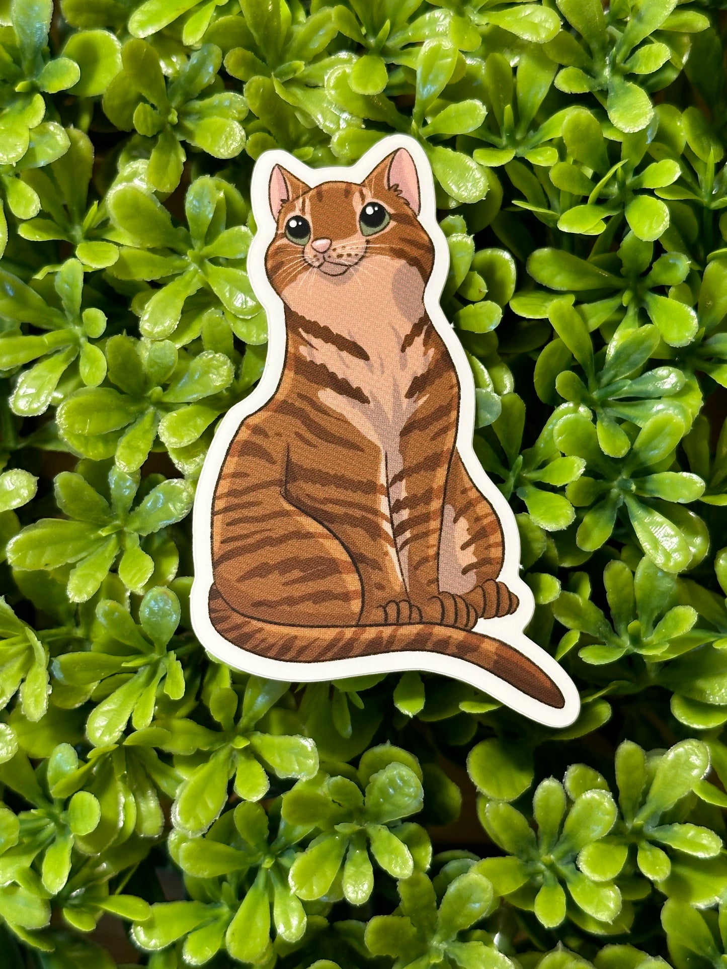 Tabby Cat Sticker