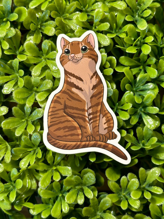 Tabby Cat Sticker