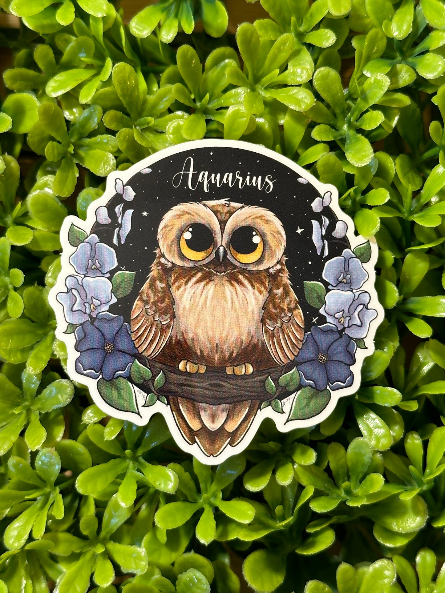 Aquarius Sticker