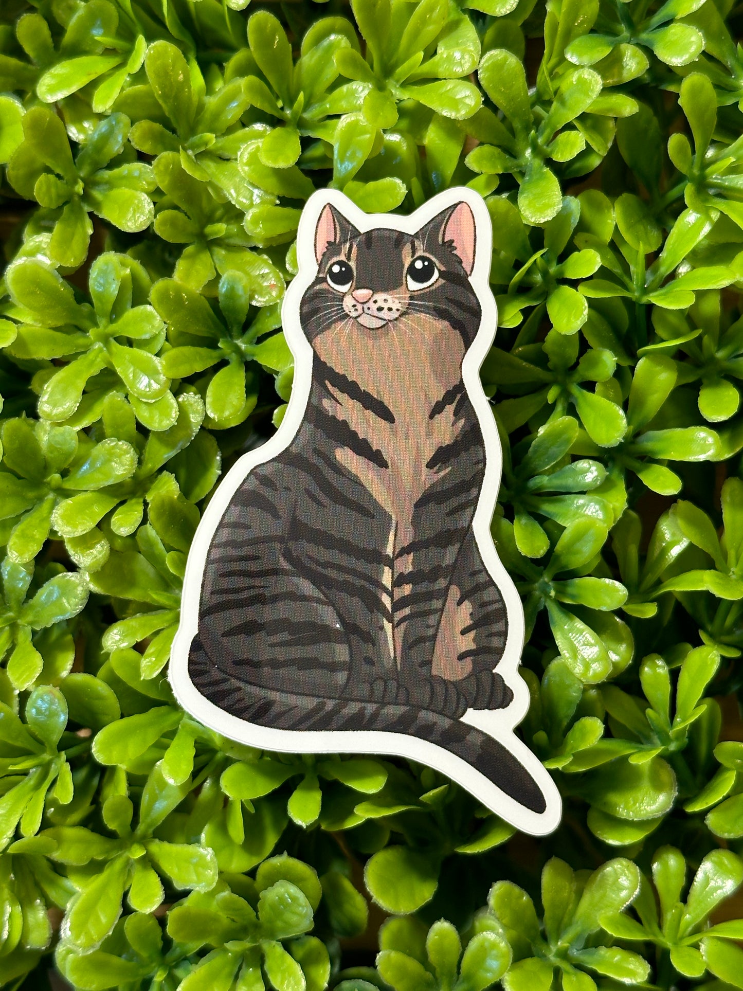 Tabby Cat Sticker