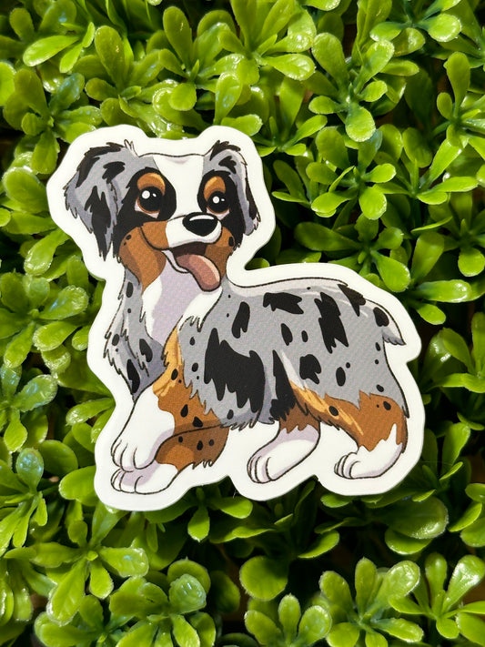 Australian Shepherd Sticker