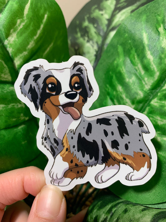 Australian Shepherd Sticker