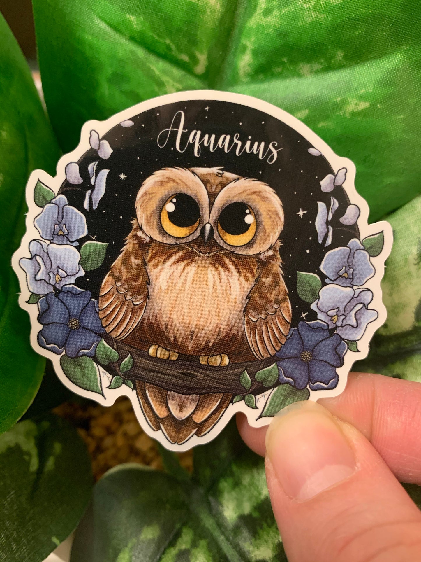 Aquarius Sticker