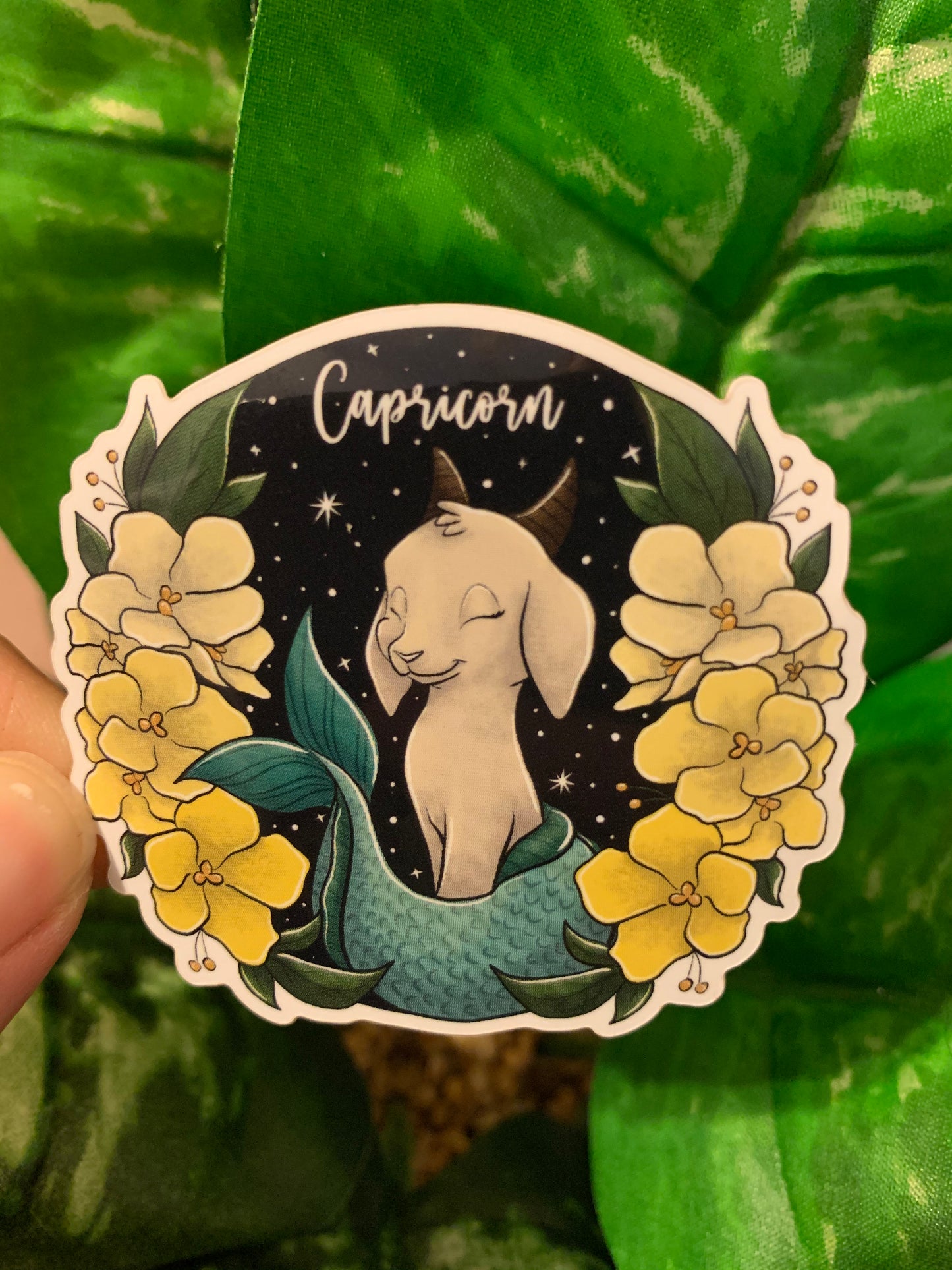 Capricorn Sticker