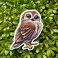 Owl Sticker