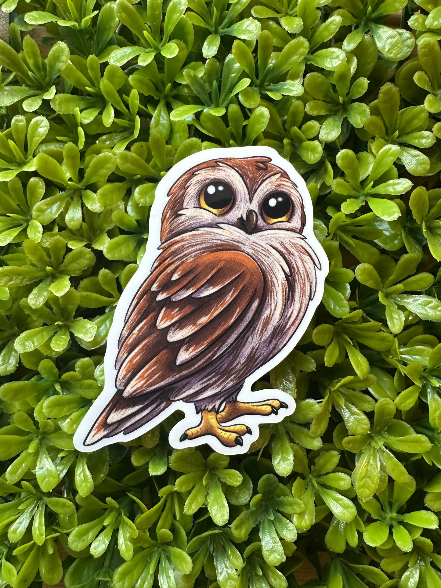 Owl Sticker