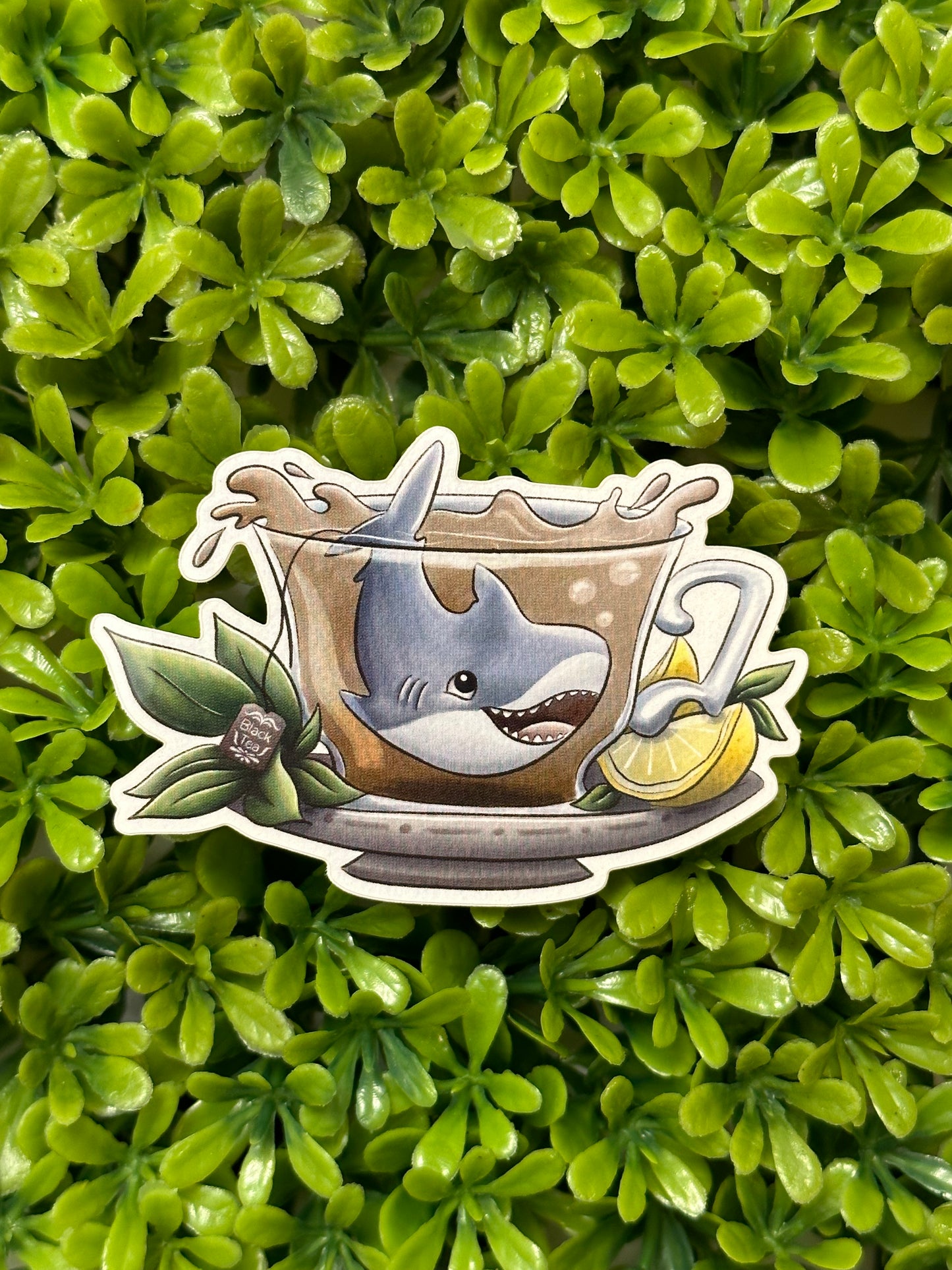 Tea Creatures: Shark Sticker