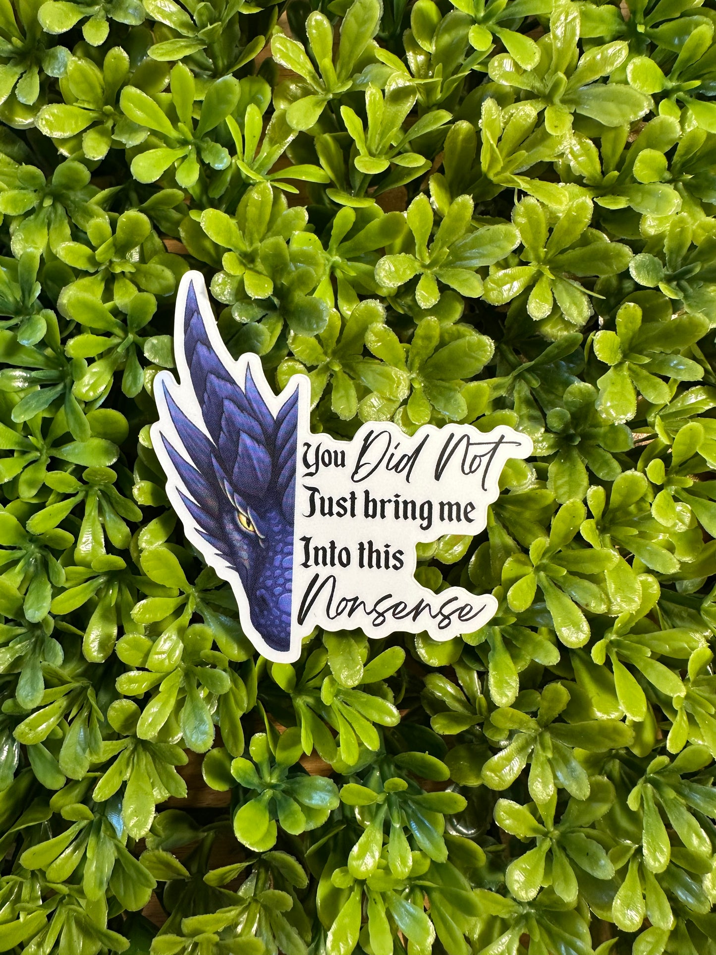 You Did Not Being Me Into This Nonsense Sticker