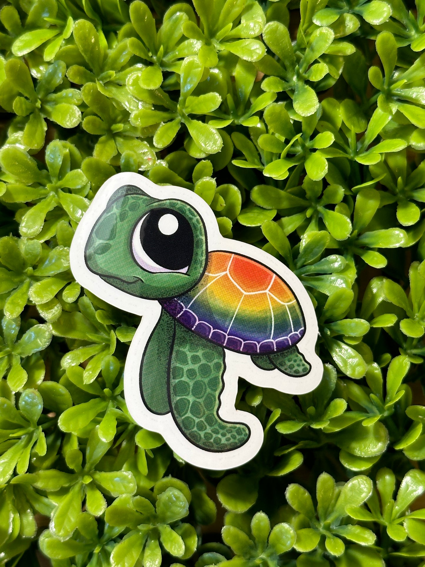 Rainbow Turtle Sticker