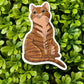 Tabby Cat Sticker